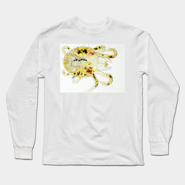 Spider mite under the microscope Long Sleeve T-Shirt by SDym Photography